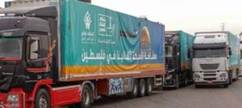   43 ألف طن مواد إغاثية مساعدات مصر لـ غزة منذ بدء العدوان