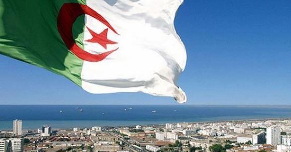 الجزائر تعرب عن انشغالها العميق إزاء المعايير المزدوجة في التوجهات داخل مجلس حقوق الإنسان