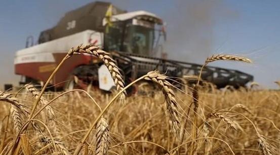 روسيا ترفع رسوم تصدير القمح بدءً من 10 أبريل