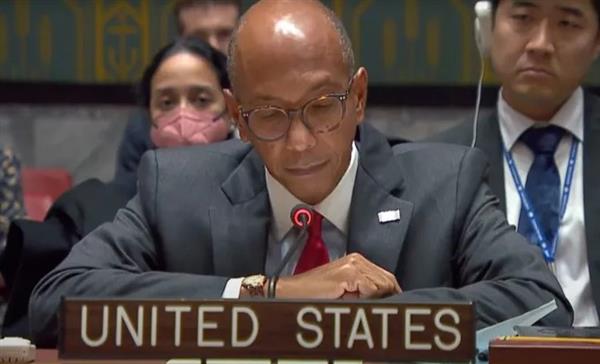 ممثل الولايات المتحدة أمام مجلس الأمن: غزة على وشك مجاعة ولا يجب تقييد عمل أونروا