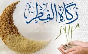 ما حكم إخراج زكاة الفطر لحمًا؟.. الإفتاء تيجب