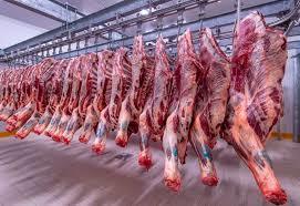   استقرار أسعار اللحوم اليوم