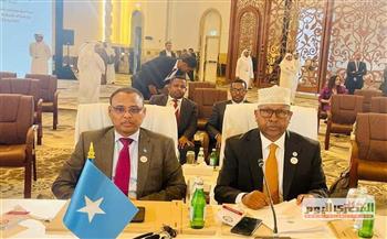   وزير الخارجية الصومالي يدعو لدعم الاستثمار في بلاده