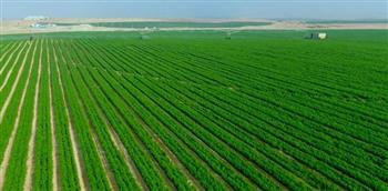   وزير الزراعة: الرئيس السيسي أولى القطاع الزراعي أهمية كبيرة لتحقيق الأمن الغذائي