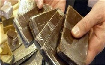 ضبط 24 قضية مخدرات بالمنيا