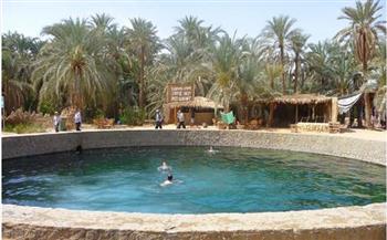   معلومات الوزراء: مصر تمتلك جميع مقومات السياحة العلاجية