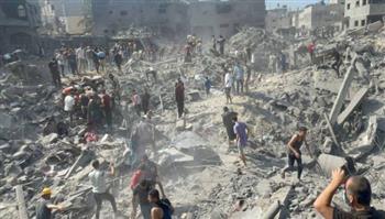 أستاذ علوم سياسية: الأمم المتحدة لم تستطع أن تنقذ إنسانية الشعب الفلسطيني