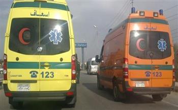   مصرع وإصابة شخصين صدمتهما سيارة بمدينة الشيخ زايد