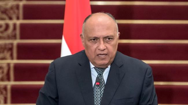وزير الخارجية يشدد لنظيره الأمريكي على حتمية إعادة نفاذ المساعدات المتوقفة إلى غزة