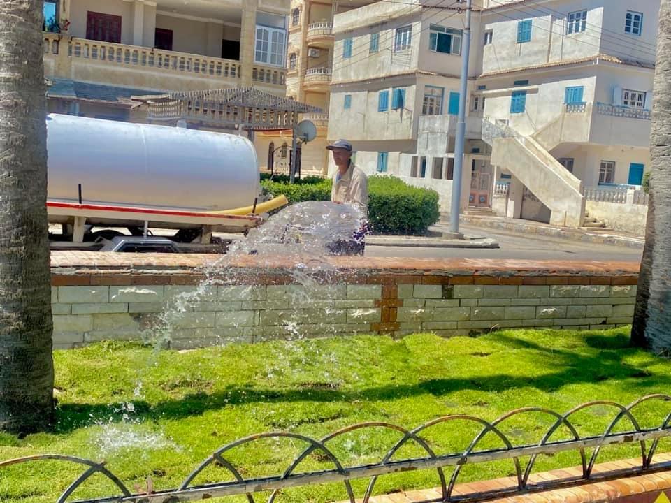 إستمرار إنشاء مشايات وتكثيف المساحات الخضراء على جانبي الطريق بمصيف بلطيم