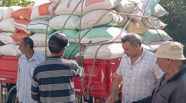 انتظام توريد القمح لشون وصوامع البحيرة 
