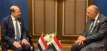   سامح شكري يلتقي وزير الخارجية اليمني في المنامة