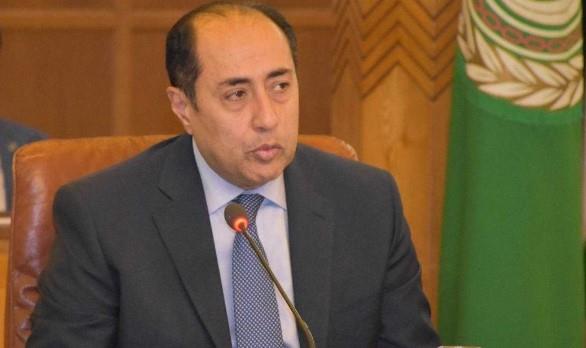 حسام زكي: الجامعة تقدر دور مصر والدول العربية الأخرى في دعمها للدعوى ضد العدوان الإسرائيلي
