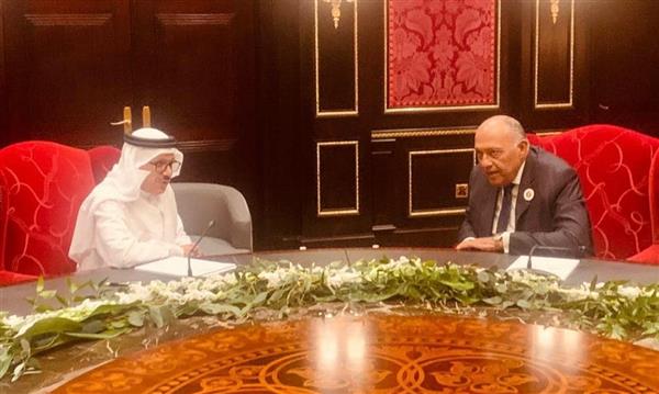شكري ونظيره البحريني يؤكدان ضرورة وقف إطلاق النار في غزة