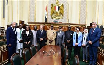 الوليلي: مصر حريصة على تنمية العلاقات مع إفريقيا سعيا نحو تحقيق التكامل الاقتصادي