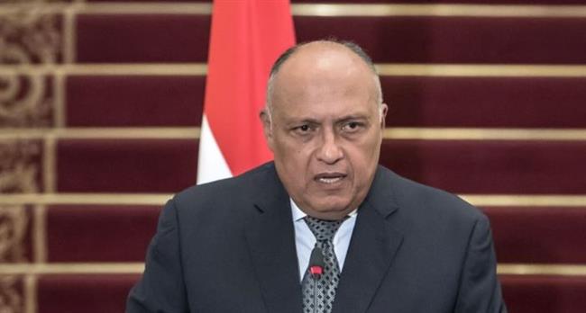 شكري: وقف إطلاق النار أولا ثم الحديث عن مؤتمر دولي للسلام