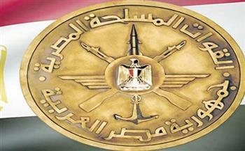 ختام فعاليات التدريب البحرى المشترك "الموج الأحمر- 7" بالسعودية