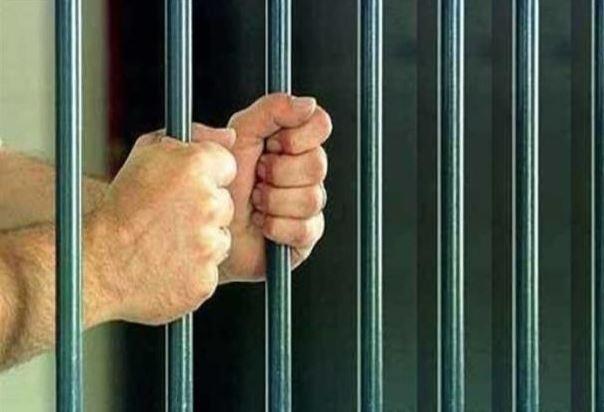 المشدد 5 سنوات لفكهانى وابنه سرقا توك توك بالإكراه وأسقطهما جهاز تتبع بطوخ