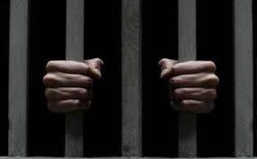لتحديد دائرة محاكمتهم.. الاستئناف تتسلم أوراق 13 متهما بقتل شقيقين في بولاق 