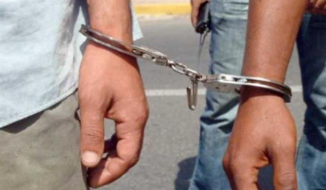ضبط شخصين لقيامهما بإنشاء كيانين تعليمىين بدون ترخيص بالجيزة والغربية