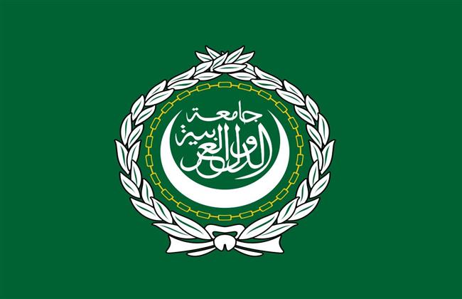 غدًا.. الجامعة العربية تعقد ورشة عمل لمتابعة الخطة الاستراتيجية متعددة القطاعات لصحة الأمهات والأطفال