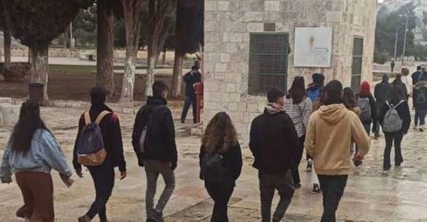 بدعم حكومة الاحتلال.. هجمات مستعرة للمستوطنين في الضفة الغربية بحق الفلسطينيين