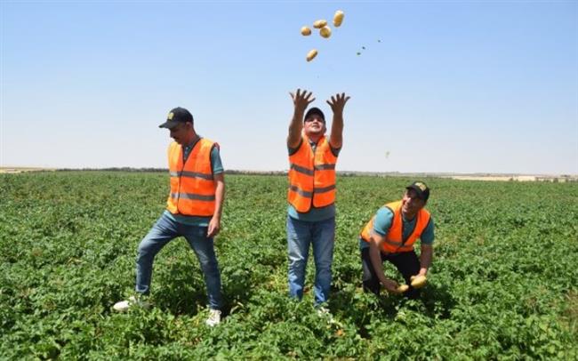 مستقبل مصر للتنمية المستدامة .. قاطرة مصر الزراعية