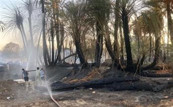   محافظ أسوان يتابع  السيطرة علي حريق كبير إندلع بأشجار النخيل بإدفو