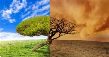   أستاذ دراسات بيئية: قسوة تغيرات المناخ تهدد الأمن المائي والغذائي