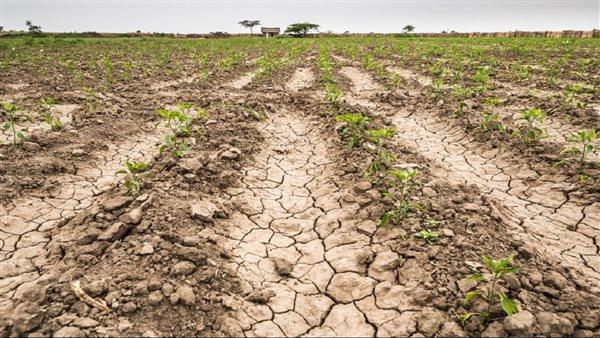 وزيرة التخطيط والتنمية الاقتصادية تستعرض مستهدفات قطاع الأمن المائي والغذائي 