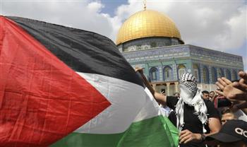   أيرلندا: اعترافنا بدولة فلسطين "لحظة تاريخية"