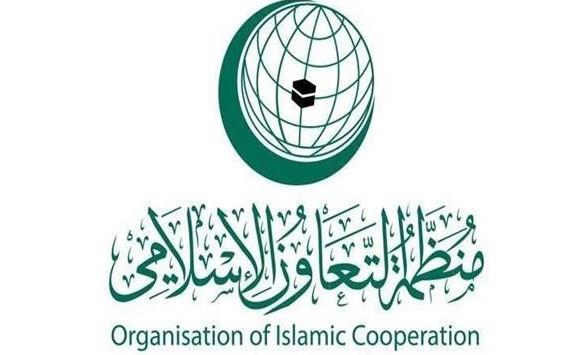 "التعاون الإسلامي" ترحب باعتراف إسبانيا والنرويج وأيرلندا بدولة فلسطين