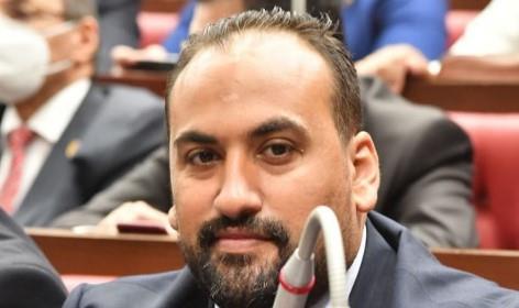 عضو بـ"الشيوخ": قرارات العدل الدولية تمثل انتصارًا للجهود المصرية