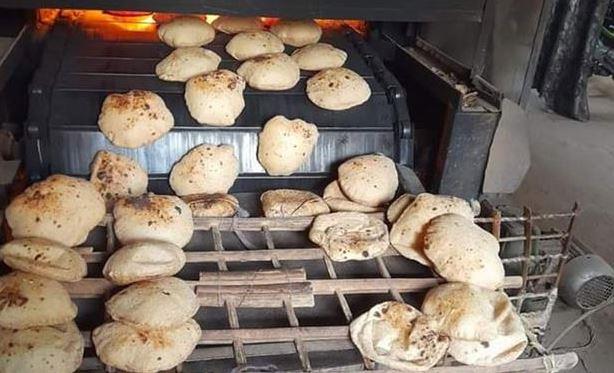 محافظة الجيزة تضبط 3330 مخالفة تموينية لمخابز وبداليين تموينين ومحال عامة