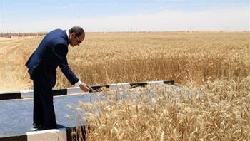   الرئيس السيسي يشهد افتتاح موسم حصاد القمح بمشروع توشكى