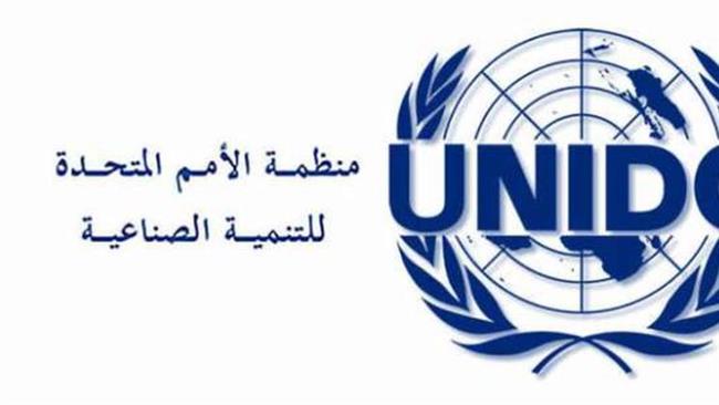 ​من القاهرة.. " اليونيدو " يدعم الاقتصاد الفلسطيني وإعادة إعمار غزة