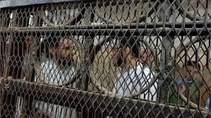 خلال ساعات.. نظر محاكمة المتهمين بخلية «داعش كرداسة» 