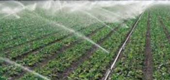   "الري الحديث".. اهتمام كبير من الدولة لمواجهة الاحتياجات المائية المتزايدة وتوفير المياه للزراعة