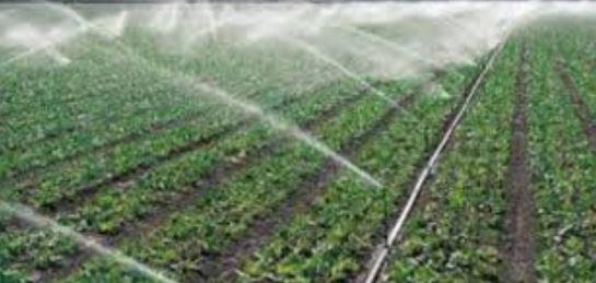 "الري الحديث".. اهتمام كبير من الدولة لمواجهة الاحتياجات المائية المتزايدة وتوفير المياه للزراعة