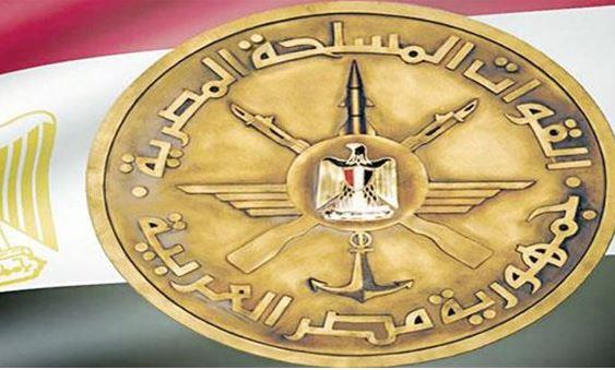 مصر تواصل جهودها في تقديم المساعدات الإنسانية العاجلة إلى أهالي قطاع غزة