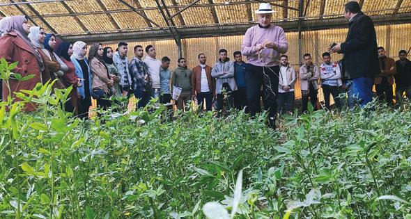 " سخا ".. 700 باحث في خدمة الأمن الغذائي
