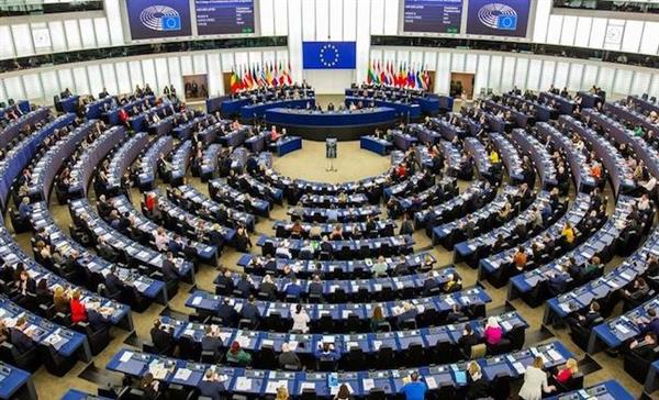 ​مجلس الوزراء النمساوي يناقش عملية التصويت في انتخابات البرلمان الأوروبي