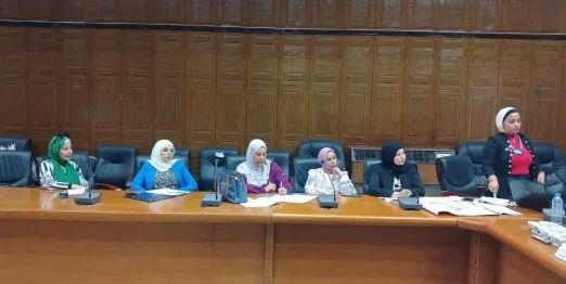 ورشة عمل بشمال سيناء حول جائزة مصر للتميز الحكومي