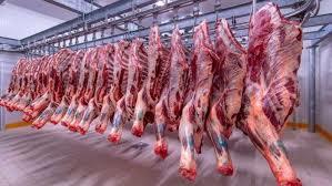 تراجع في أسعار اللحوم البلدي بالأسواق