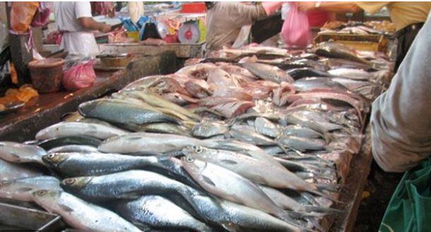 الصحة تكثف حملاتها على المنشآت الغذائية وأماكن بيع الأسماك 