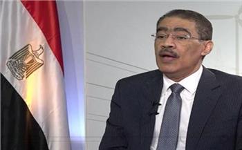   رشوان: هدف مصر الرئيسي هو "فلسطين والسلام في المنطقة"