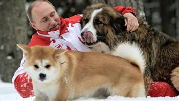   بوتين يحقق أمنية طفلة روسية ويهديها «كلب صغير»