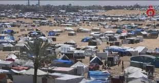 واشنطن بوست: قرار إسرائيل بإخلاء أجزاء من رفح الفلسطينية تحدٍ إنسانى ولوجيستى خطير