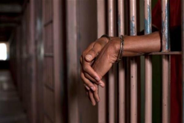 المشدد 10 سنوات للمتهم بقتل شقيقه للدفاع عن والدته بالخصوص