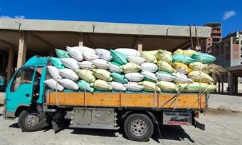   صوامع المنيا تستقبل أكثر من 146 ألف طن من محصول القمح